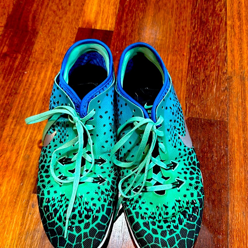 Nike size 9.5 women. Slightly worn, blue and light green reptile like colors